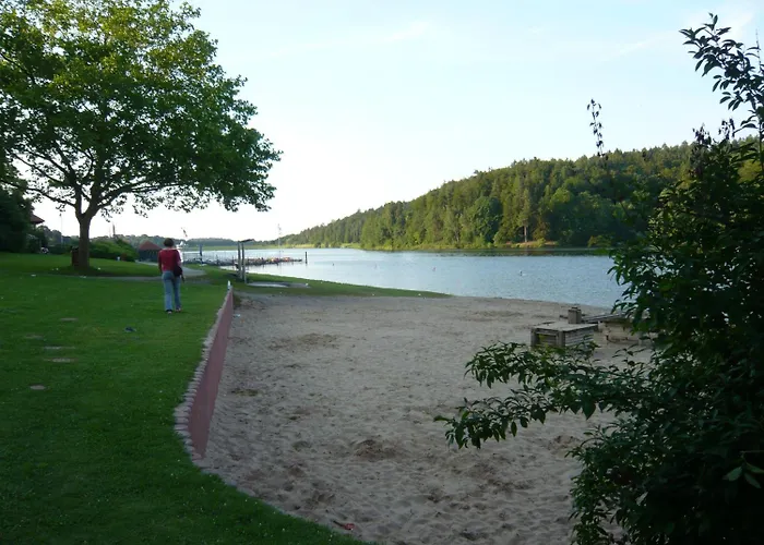 Schaefer Dehringhausen